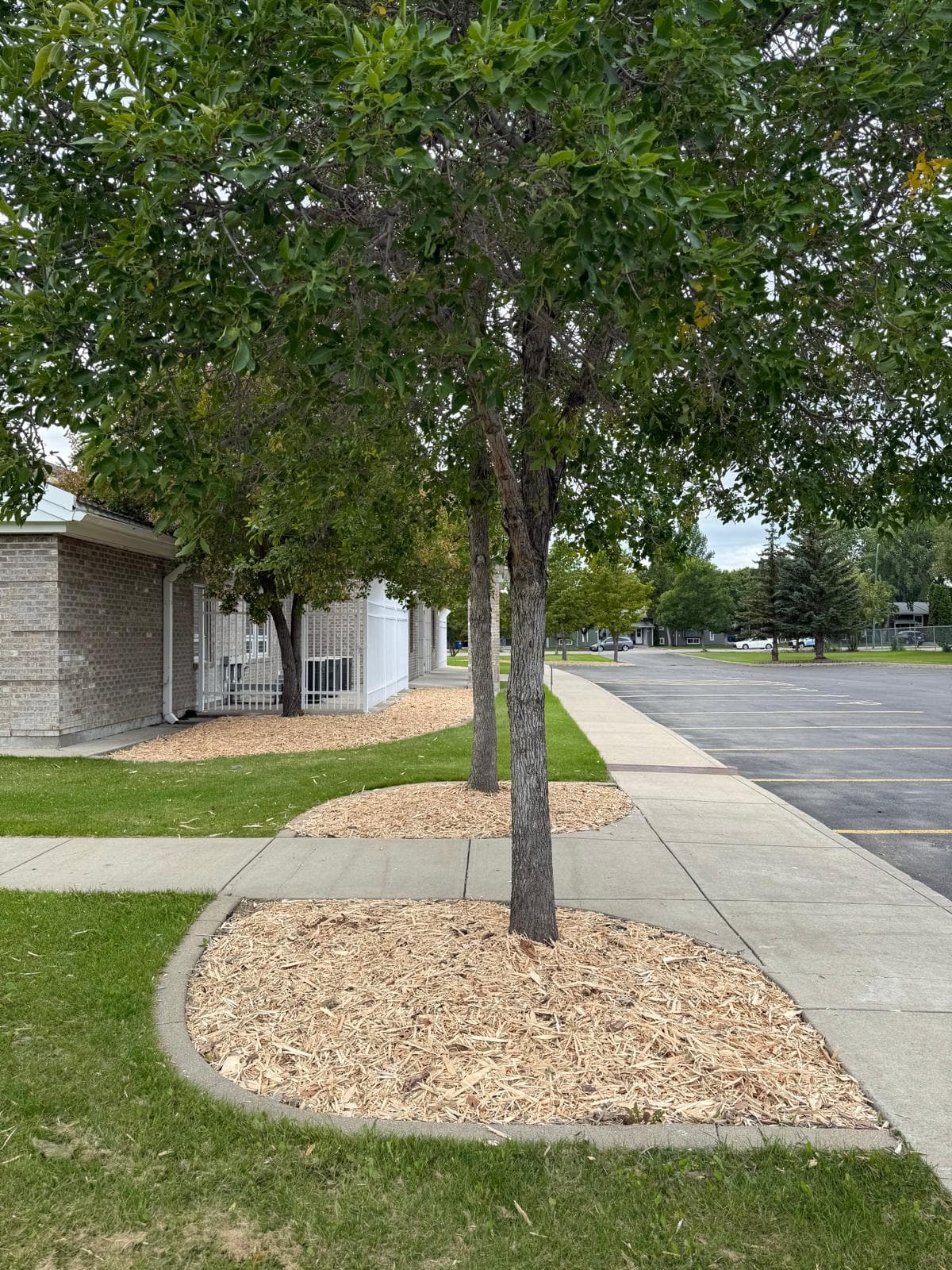 Project Photos - Professional Landscaping Project in Saskatoon #11