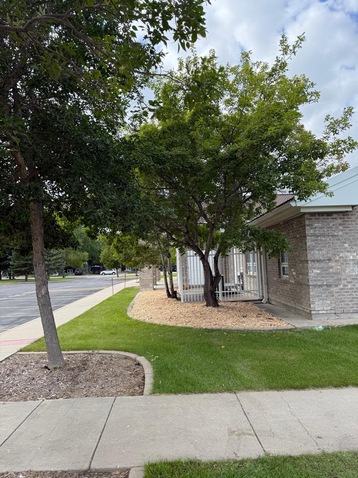Project Photos - Professional Landscaping Project in Saskatoon #13