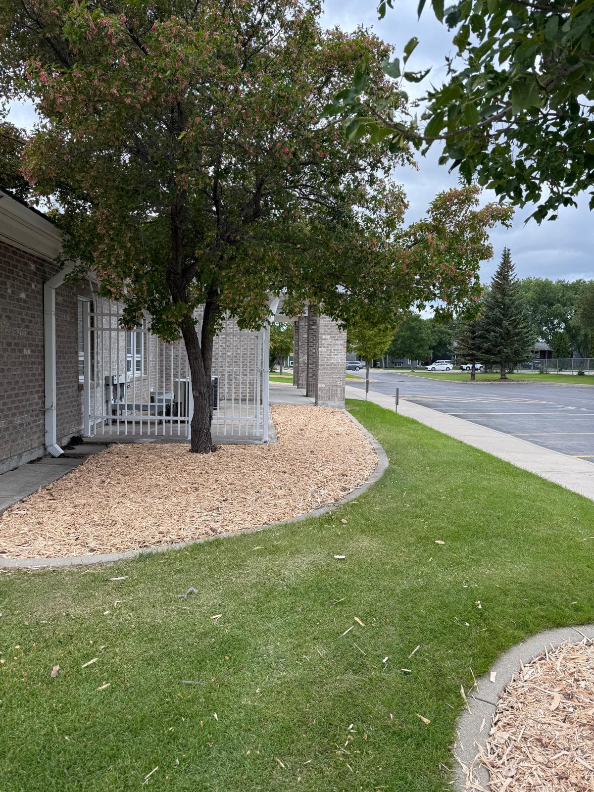 Project Photos - Professional Landscaping Project in Saskatoon #23