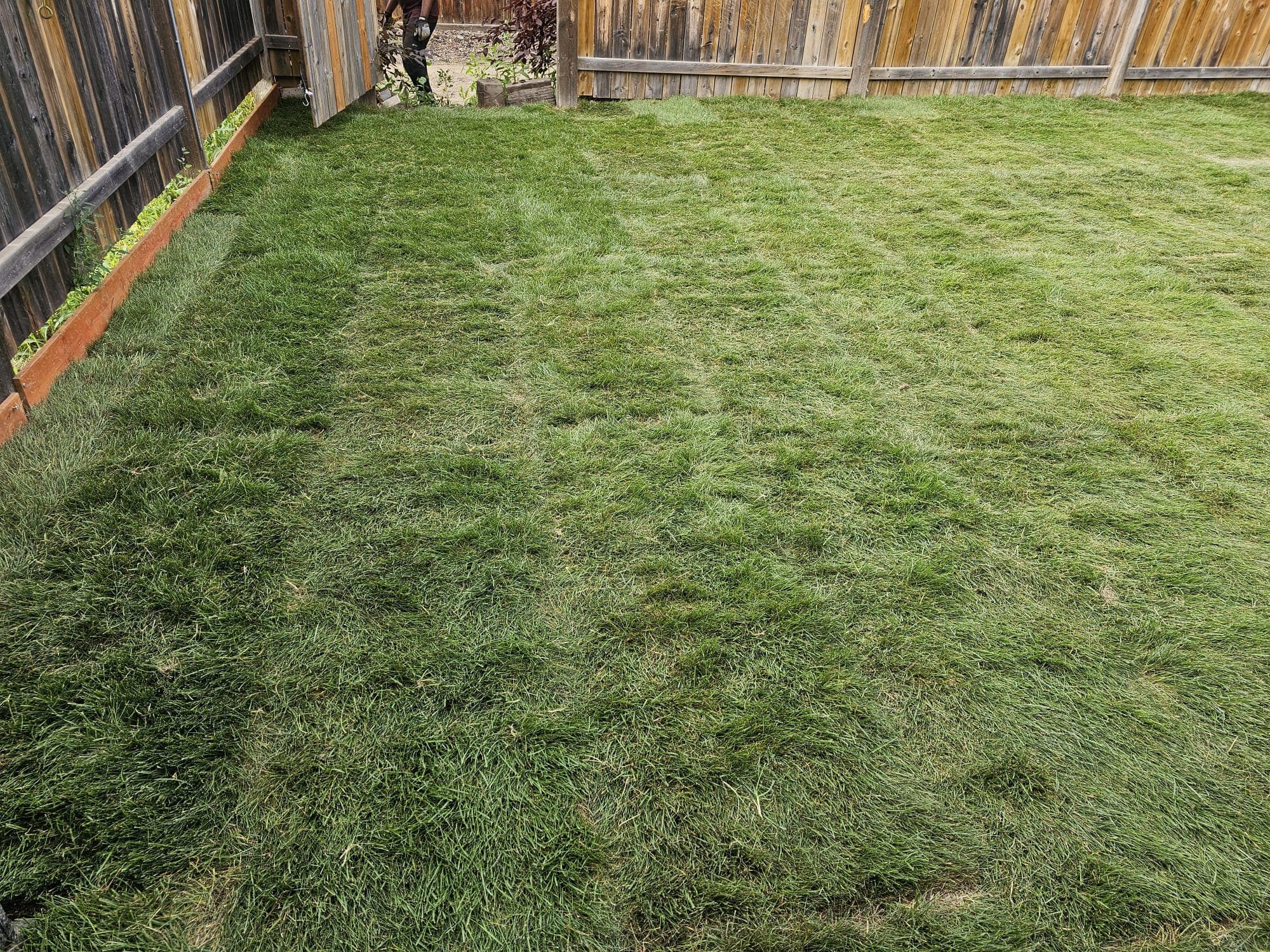 Project Photos - Professional Landscaping Project in Saskatoon #33