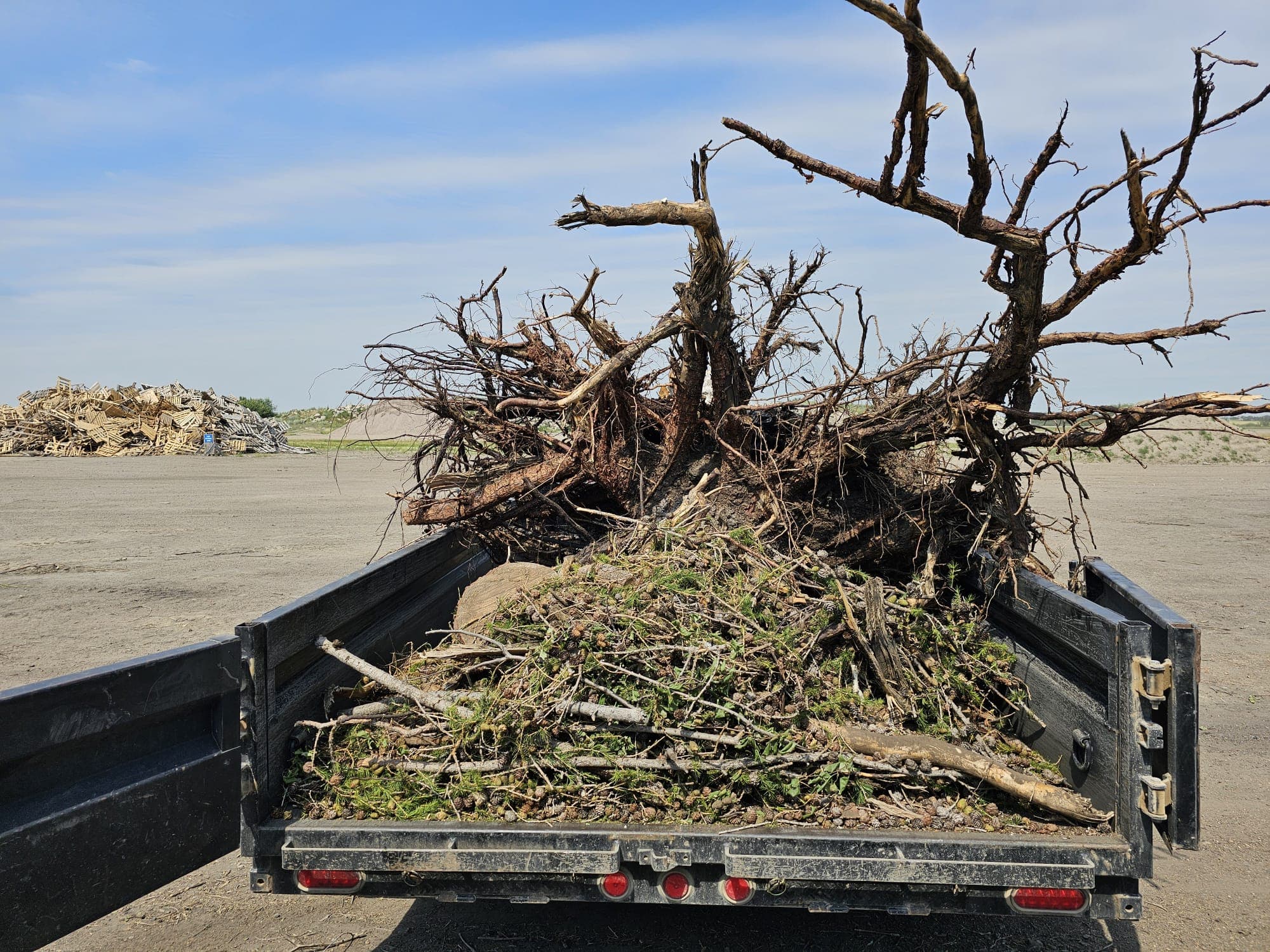 Project Photos - Professional Landscaping Project in Saskatoon #34