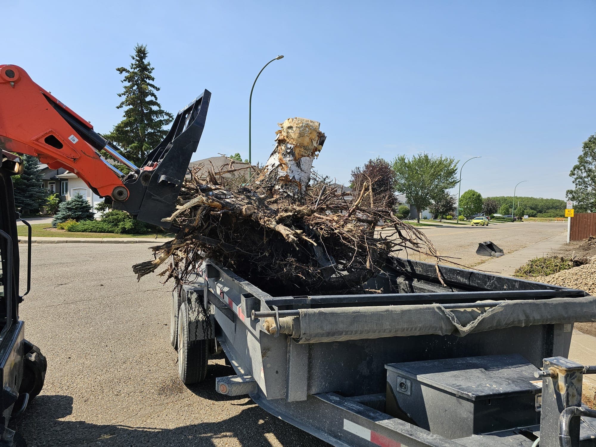 Project Photos - Professional Landscaping Project in Saskatoon #36
