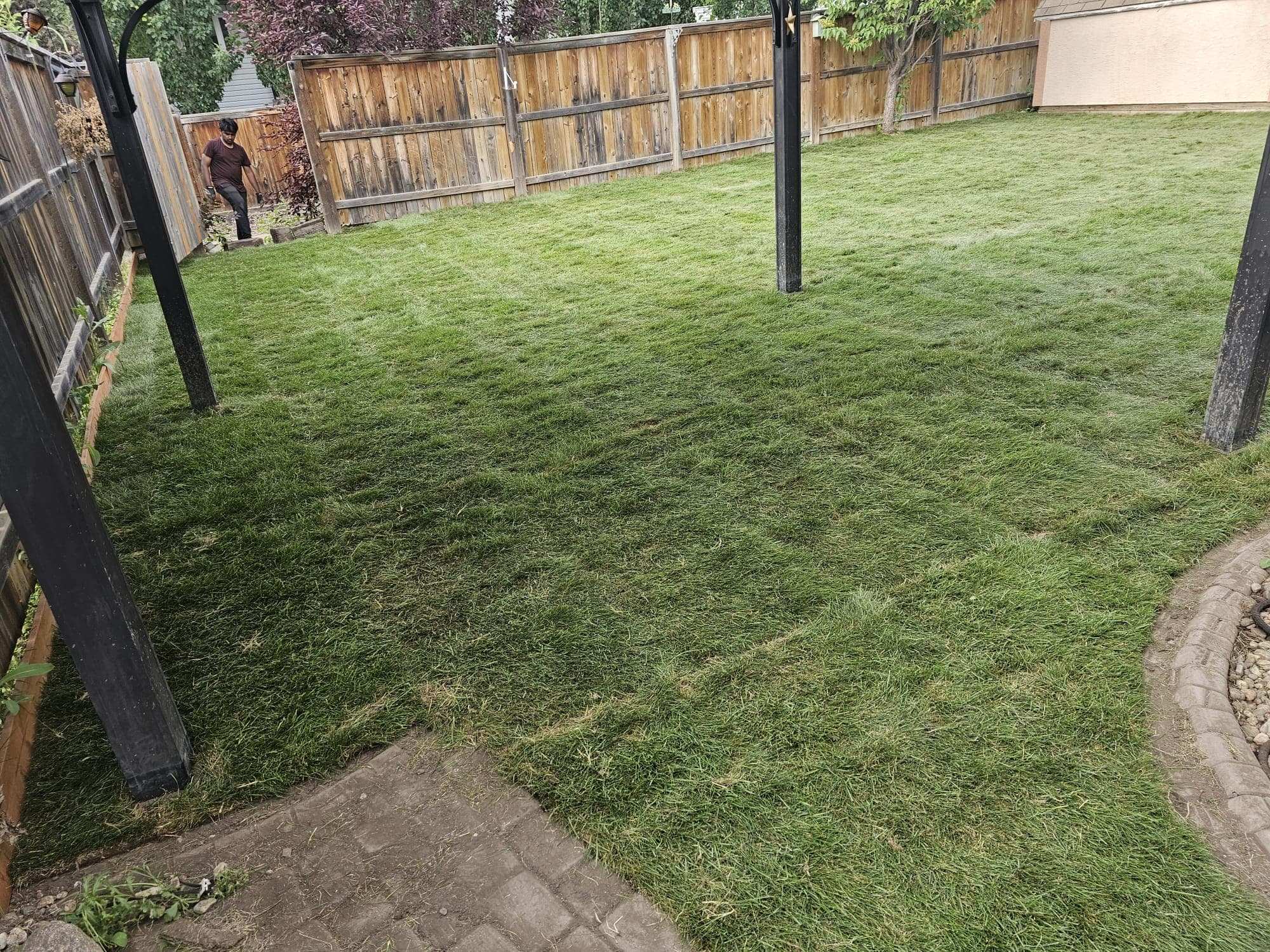 Project Photos - Professional Landscaping Project in Saskatoon #37