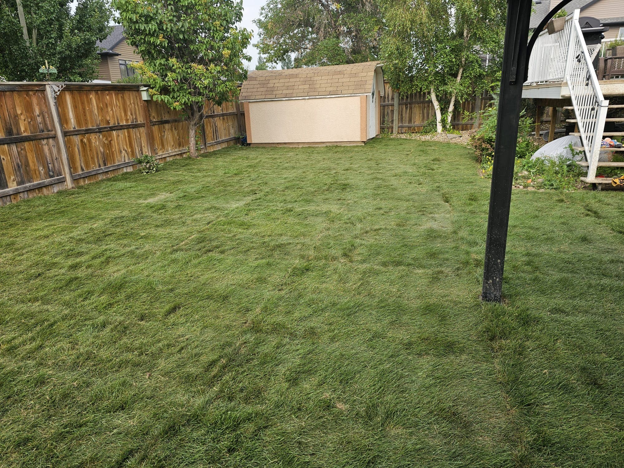 Project Photos - Professional Landscaping Project in Saskatoon #45