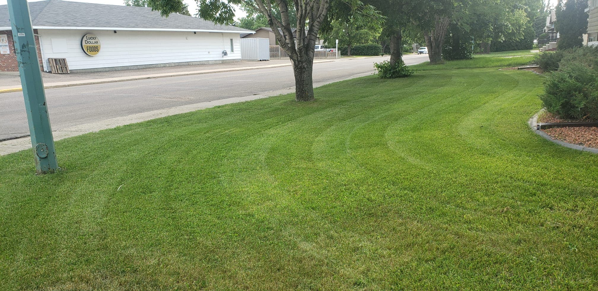 Project Photos - Professional Landscaping Project in Saskatoon #55