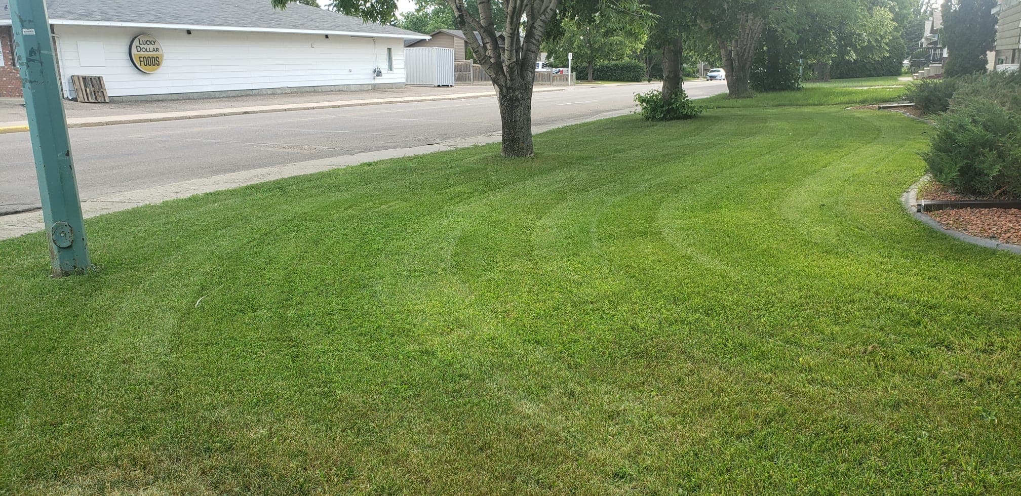 Project Photos - Professional Landscaping Project in Saskatoon #61